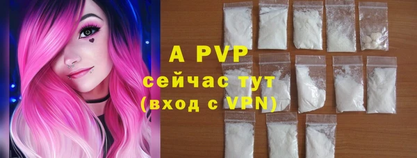 стаф Зеленодольск