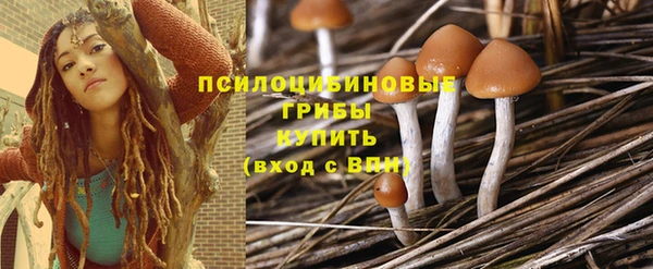 стаф Зеленодольск
